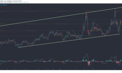 ビットコインキャッシュ、アウグル、VeChain価格分析：12月26日
