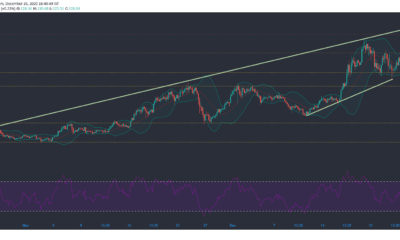 Litecoin、Dogecoin、STEEM価格分析：12月26日