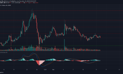 ビットコインSV、テゾス、IOTA価格分析：12月15日