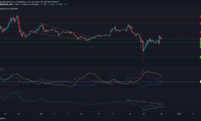 EOS、NEM、Decred Price Analysis：12月28日