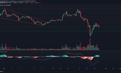EOS、基本アテンショントークン、NEM価格分析：12月26日