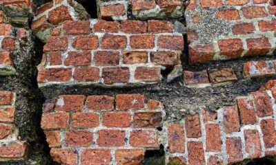 チェーンリンクの最近の統合は、トレーダーがパニックになるのを防ぐことができますか？