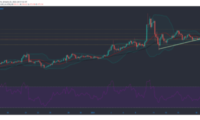 ビットコインキャッシュ、Synthetix、オントロジー価格分析：1月20日