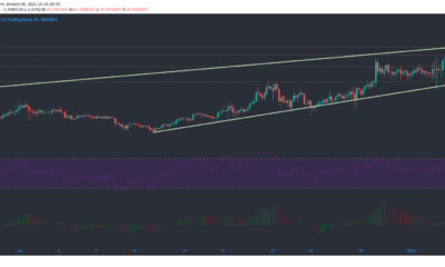 Binance Coin、IOTA、Dogecoin価格分析：1月6日
