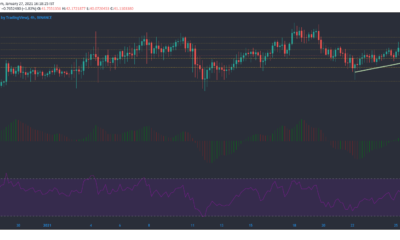 Binance Coin、Synthetix、Zcash価格分析：1月27日