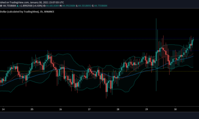 Binance Coin、Aave、SushiSwap価格分析：1月30日