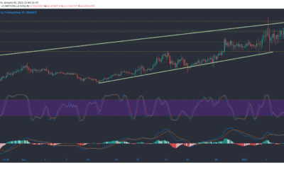 Binance Coin、Synthetix、Decred Price Analysis：1月9日