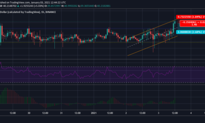 Binanceコイン価格分析：1月3日