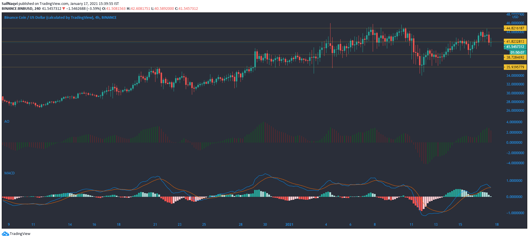 Binance Coin、Dash、Synthetix価格分析：1月17日