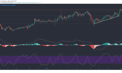 Binance Coin、Cosmos、Dash価格分析：1月19日