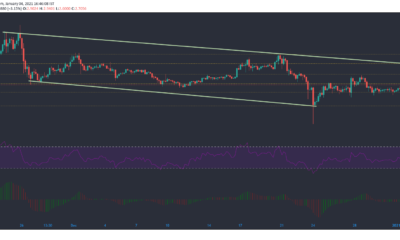 EOS、Waves、Crypto.comコイン価格分析：1月4日