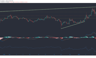 チェーンリンク、ビットコインSV、Zcash価格分析：1月11日