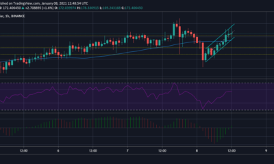 ライトコイン価格分析：1月8日
