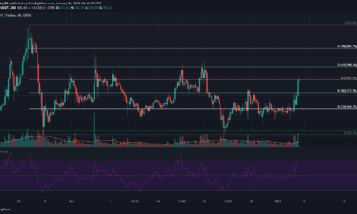 ビットコインSV、NEM、Decred Price Analysis：1月4日