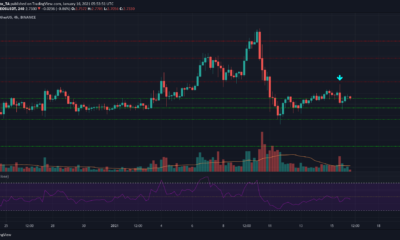 EOS、BAT、ドージコイン価格分析：1月16日