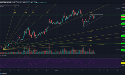 Binance Coin、Steem、複合価格分析：1月16日