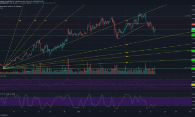 Binance Coin、Ethereum Classic、VeChain価格分析：1月22日