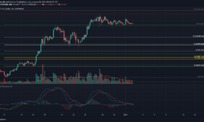 Litecoin、VeChain、Algorand価格分析：1月2日