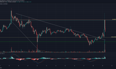 XRP、BAT、FTXトークン価格分析：1月29日