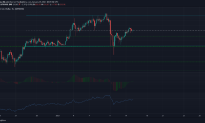 Litecoin、OMG、SushiSwap価格分析：1月15日