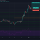水玉模様の価格分析：1月2日