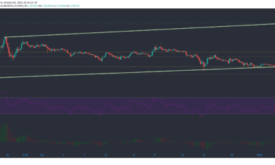 Stellar Lumens、Synthetix、ループリング価格分析：1月6日