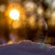 Celsius Networkは、ADAが2021年第2四半期に追加されることを確認しました