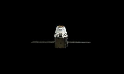 「テスラとスペースXがビットコインをバランスシートに追加することは今や避けられない」