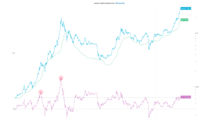 ビットコインのレッスン：過去48時間でクジラについて教えてくれたこと