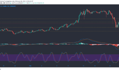 ビットコインキャッシュ、オントロジー、ダッシュ価格分析：2月24日