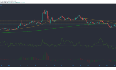 ビットコインキャッシュ、トロン、FTXトークン価格分析：2月1日