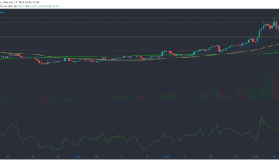 ビットコインキャッシュ、シンセティックス、ドージコイン価格分析：2月17日