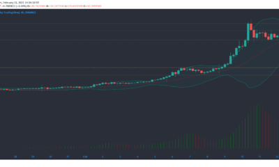 Binance Coin、STEEM、Dash価格分析：2月13日