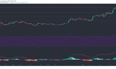 Polkadot、Monero、IOTA価格分析：2月15日