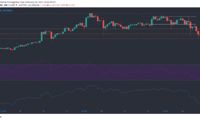 EOS、NEM、SUSHI価格分析：2月23日