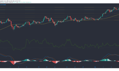 イーサリアム、Synthetix、複合価格分析：2月8日