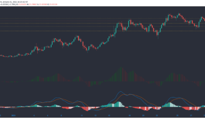 Chainlink、Synthetix、Decred Price Analysis：1月31日