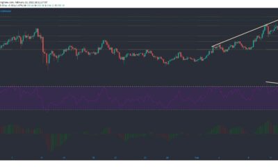 Litecoin、IOTA、Waves価格分析：2月13日