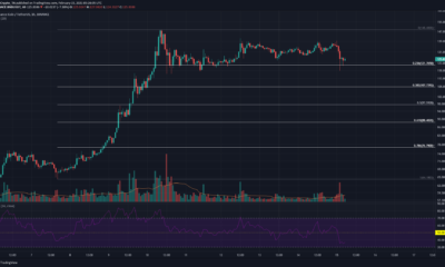 Binance Coin、Cosmos、Synthetix価格分析：2月15日