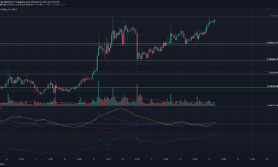 ビットコインSV、NEM、Verge価格分析：2月13日