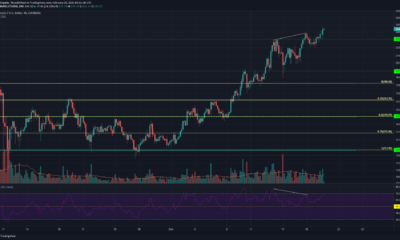 ライトコイン、EOS、Decred Price Analysis：2月20日