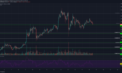 ビットコインSV、ネオ、VeChain価格分析：2月18日