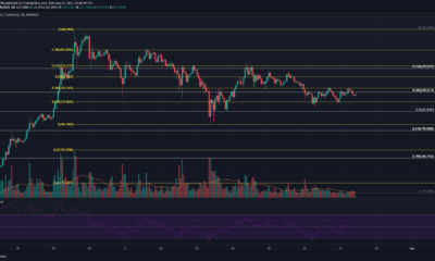 Binance Coin、Augur、Dogecoin価格分析：2月27日