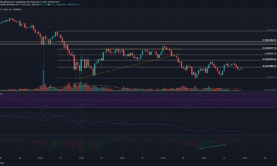 ビットコイン価格分析：2月27日