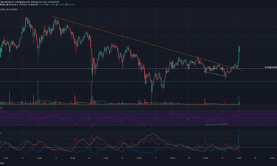 XRP価格分析：2月19日