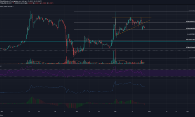 XRP価格分析：2月25日