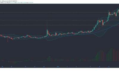 Tron、Ethereum Classic、VeChain価格分析：2月16日