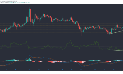 Monero、IOTA、Dogecoin価格分析：2月2日