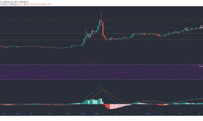 XRP、コスモス、ダッシュ価格分析：2月14日