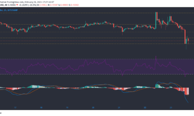 XRP、基本アテンショントークン、複合価格分析：2月23日